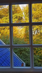 Herfst kleuren met Blauwe Dak
