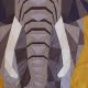 Detail Olifant met Afrikaanse rand