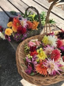 manden gevuld met geplukte bloemen