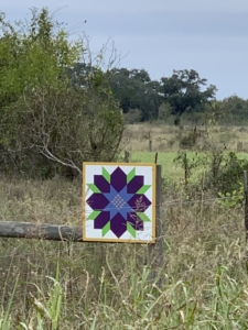 PB Quilttrail 2