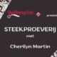 Steekproeverij Cherilyn Martin