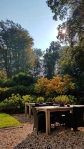 Seizoenswisseling - herfst op ons terras