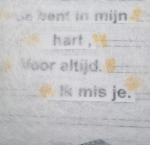 een brief aan mijn broertje